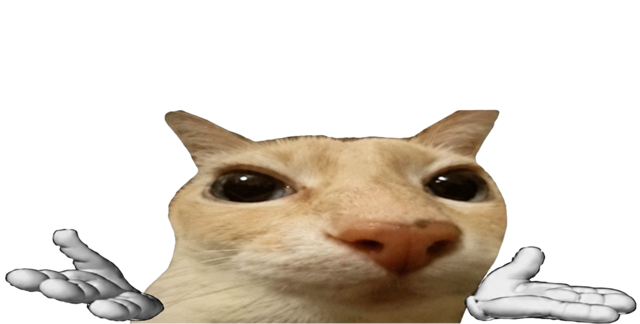What Do You Cat